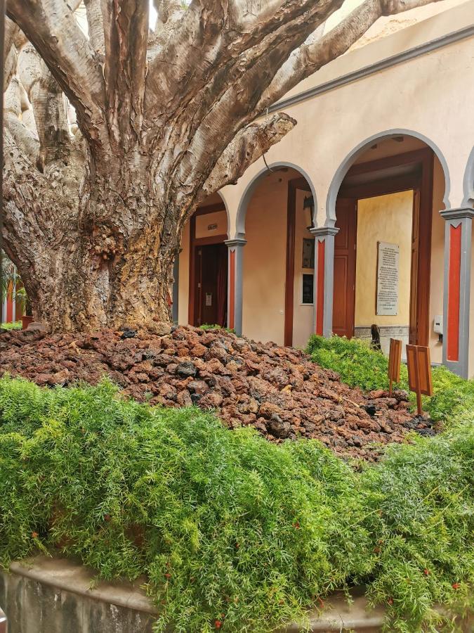 Habitacion Con Bano Privado Gáldar المظهر الخارجي الصورة